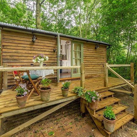 Woodland Retreat Shepherds Hut Villa Brundish Buitenkant foto